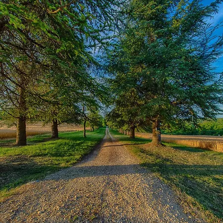 Le Manoir De St Marcel