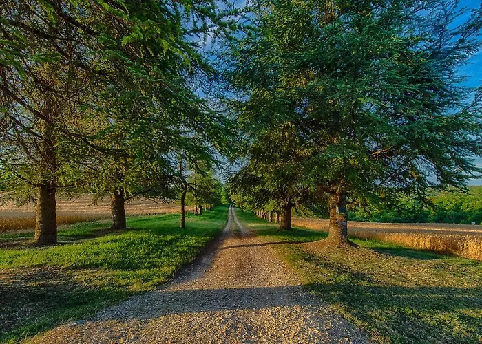 Le Manoir De St Marcel